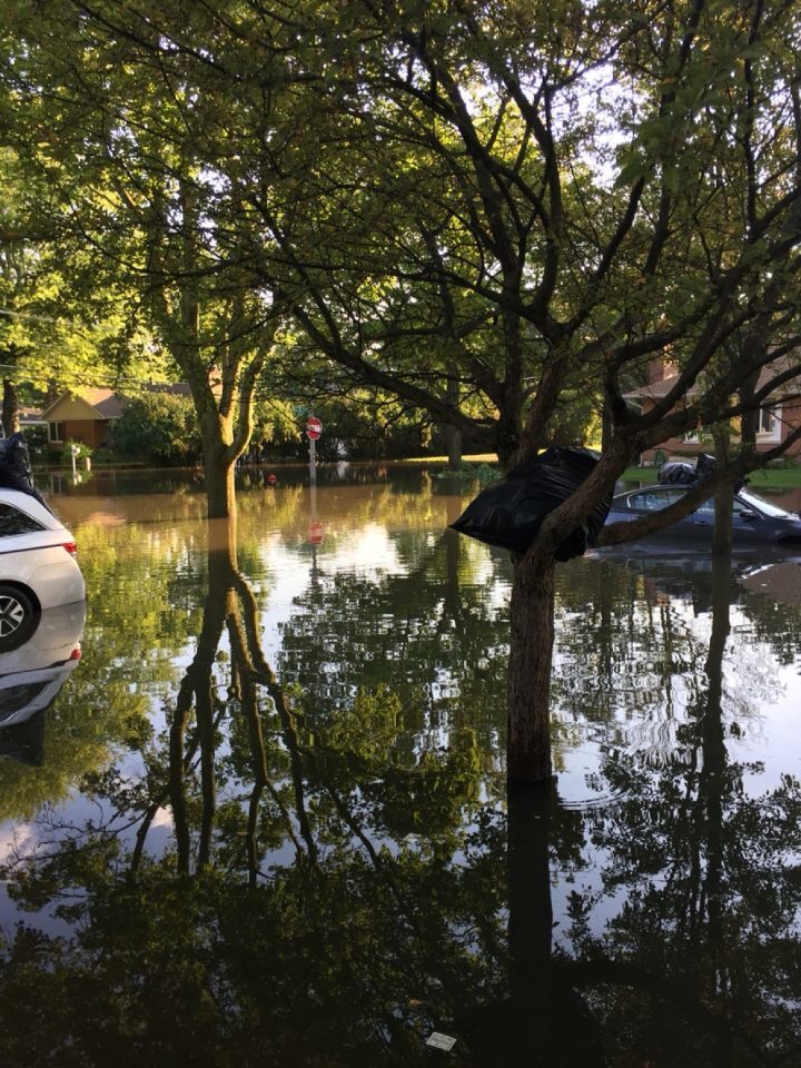 Back roads, such as Carter Street, experienced a tremendous amount of flooding, causing cars to become submerged. 