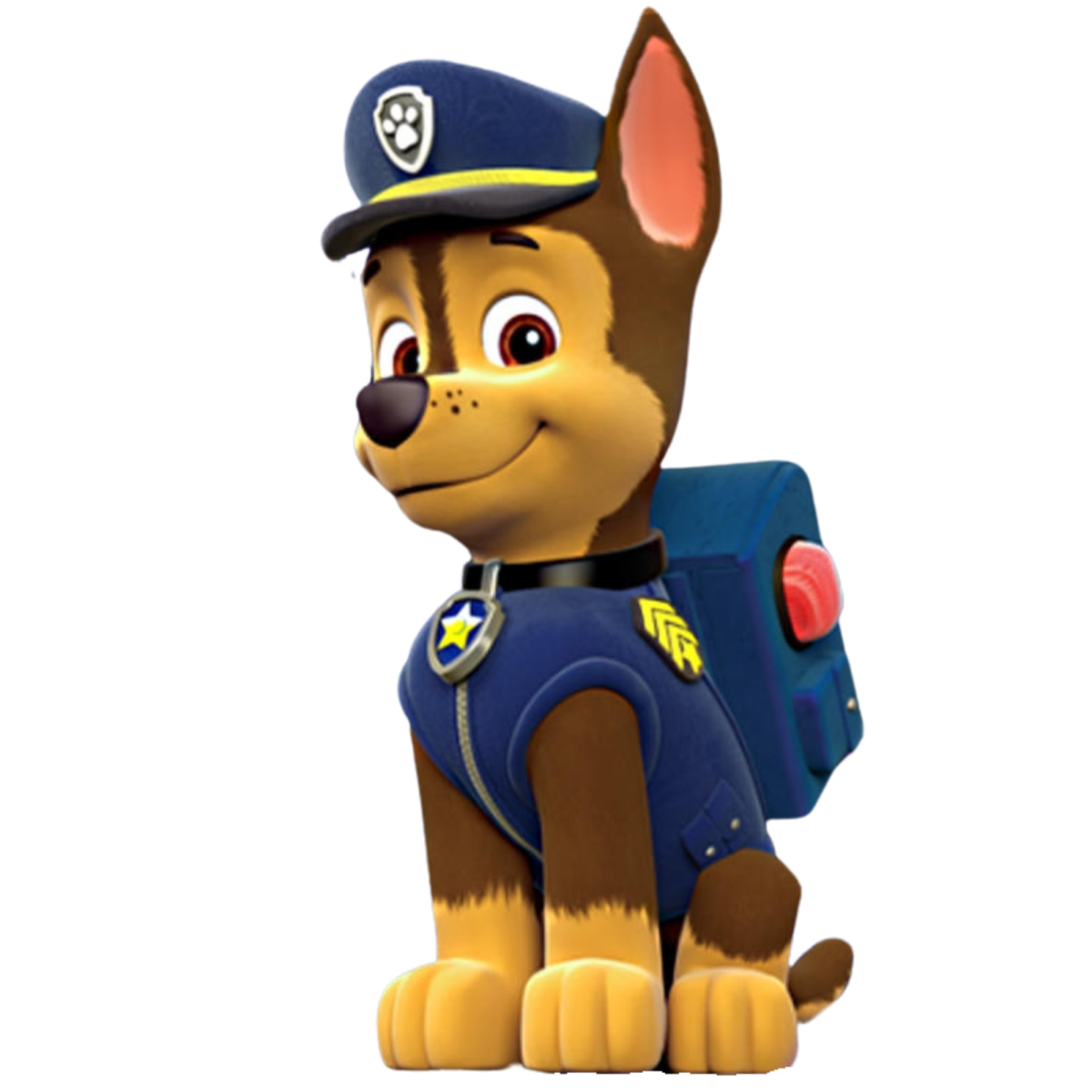 What Paw Patrol Character Are You?