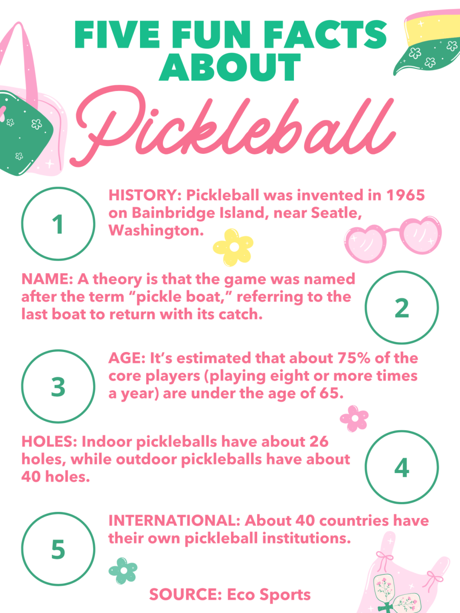 The Rise of Pickleball: Reasons Behind Joining